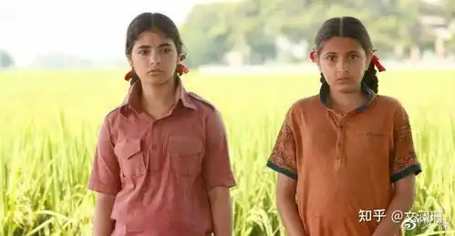 印度电影阿米尔汗领衔主演摔跤冠军传记摔跤吧爸爸赏析文澜珊
