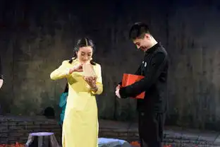 清华大学艺术教育中心演出官网
