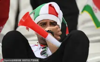 哨声响起悲伤流成河世界杯球迷伤心时刻
