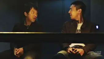 周迅赵薇换皮张东健张柏芝关系危险