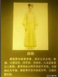 刘诗诗步步惊心剧照被收入故宫,多美一看便知
