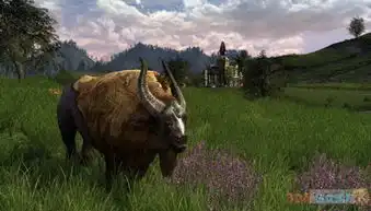 美不胜收指环王洛汗国骑士大量风景截图放出