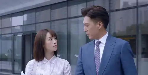 精英律师戴曦婚后性情大变,1月后罗槟怒提离婚,有何难言之隐