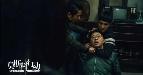 莫斯科行动夏雨联手育良书记及大胸姐,再现24年前跨国列车犯罪
