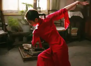 张艺谋谈回归回归初心
