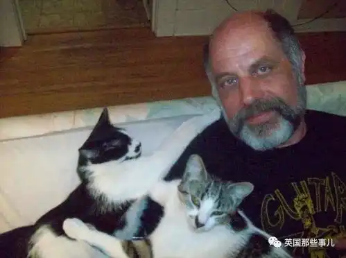 暖文流浪猫遇到流浪汉会怎样