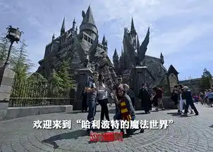 无标题
