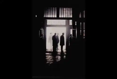 是枝裕和即便痛苦,也要生活下去,活在当下
