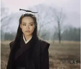 刺客聂隐娘口碑两极化好电影需寻找好观众
