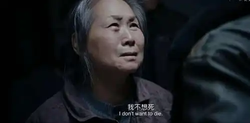 金鸡百花5部提名四部有河南的影子,河南与电影多有缘