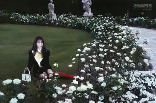 美到让人失语...每一张都值得收藏的dazed高清画报