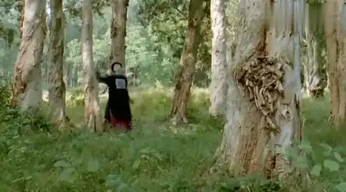 僵尸竟能在白天出现,英叔也觉得奇怪,怎料试了很多法器都不管用
