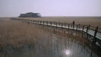 十五年等待候鸟第24集剧照,十五年等待候鸟图片
