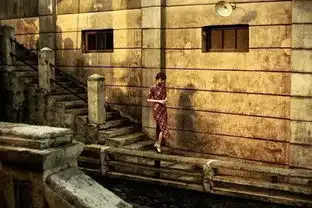 民国旧梦与文学梦的罗曼蒂克消亡史2