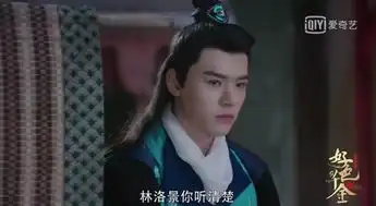 双世宠妃导演新剧来袭,女主林洛景太美了,两大美男都爱她
