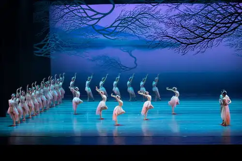 十年了,舞剧朱鹮为何常演不衰
