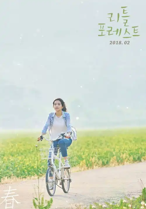 看完心旷神怡,这种电影让人毫无抵抗力