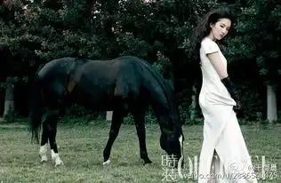 刘亦菲骑马剧照各种美绝对仙气十足图
