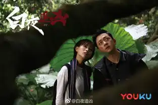 白夜追凶为什么会延期播出原因白夜追凶讲什么内容剧情介绍