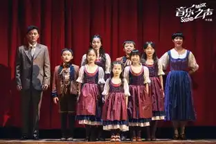 哆来咪雪绒花这些经典老歌都出自它音乐之声中文版来温了
