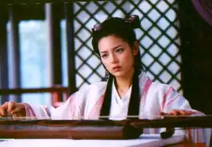 朴信惠蔡琳张娜拉张瑞希在中国拍戏的韩国明星
