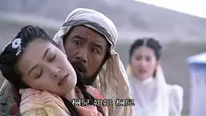 周丽淇2009年书剑恩仇录