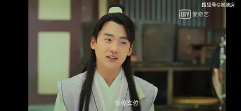 赘婿2点表明与庆余年相似,1点证明比庆余年高明
