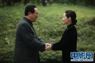 电视剧版建国大业曝剧照袁莉饰演宋庆龄