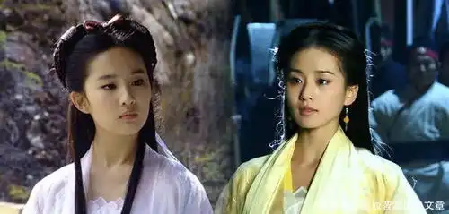 杨过小龙女终成眷属后,留下后代了吗倚天黄衫女子给出了答案