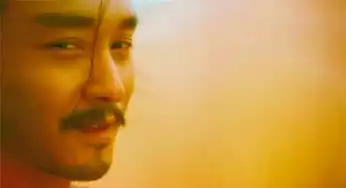 哥哥张国荣东邪西毒剧照