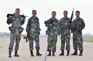 战狼2破即将50亿票房盘点吴京演过哪些电视电影好看吗