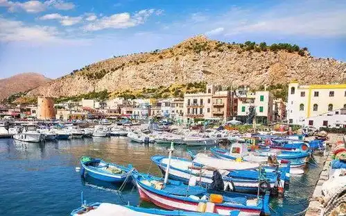 西西里的美丽传说巴勒莫美术学院
