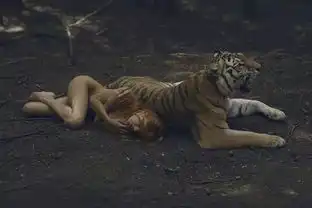 美女与野兽,唯美与性感的视觉撞击
