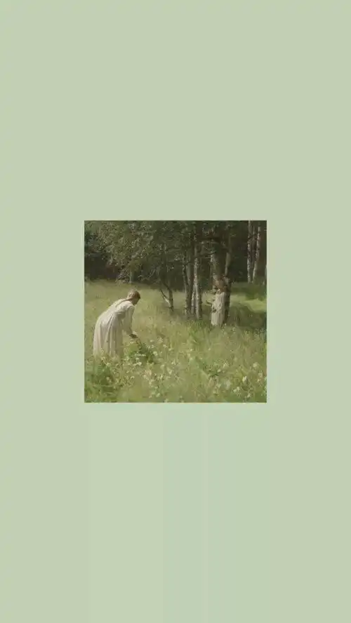 绿色壁纸
