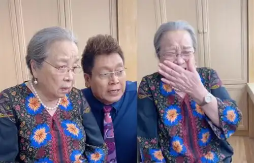 帮容嬷嬷李明启辟谣她儿媳妇可不是延禧攻略中的纯妃
