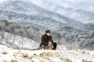 星热点韩剧任意依恋7月6日首播金宇彬裴秀智合作备受期待
