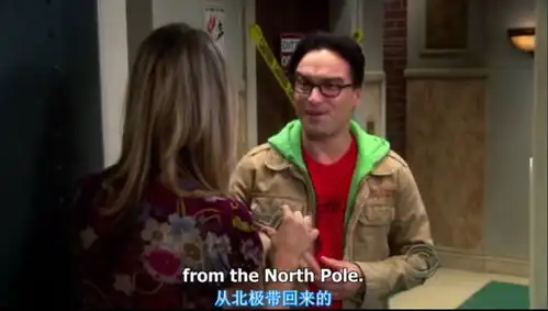 再见,生活大爆炸
