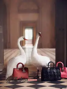 这是一本特别的lookbookdior的梦幻城堡第10页业界
