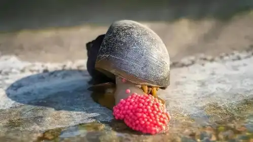 5000条寄生虫吃空男童脑肺这6种食物大量上市,寄生虫超多