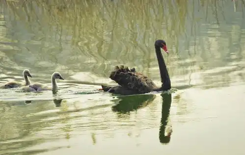 我和春天有个约会春归北京,分外妖娆
