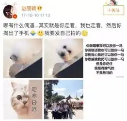 冯绍峰,真的适合赵丽颖吗

