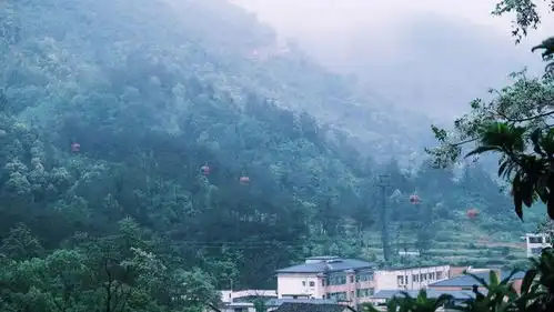 阳新仙岛湖五一期间游客总接待人数达9万余人次