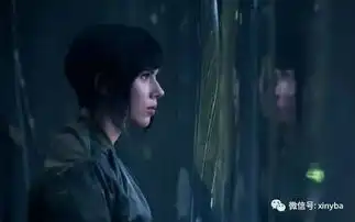 为了斯嘉丽约翰逊及攻壳机动队这两个品牌名词