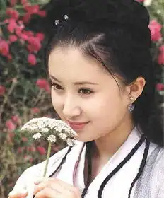 这样的女子绝色无双揭娱乐圈公认最美的36张脸图
