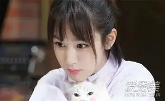 蜜汁炖鱿鱼韩商言喜欢谁韩商言结局和谁在一起了
