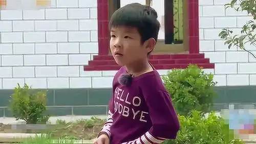 民宿婆婆狂飙方言,摄像师懵了,安迪竟能听懂,简直智商爆表