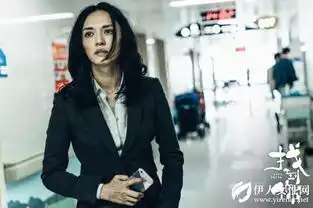 找到你冯小刚携手吕乐姚晨马伊琍挑战自我
