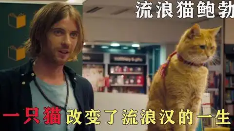 一只流浪猫拯救了一个流浪汉流浪猫鲍勃