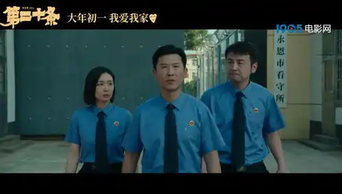 协力晨兴影视
