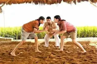 摔跤吧爸爸票房飙高,中国电影尚能饭否
